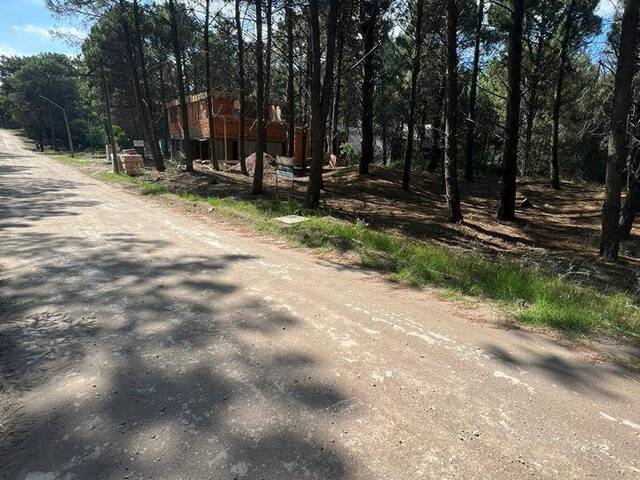 #355 - TERRENO para Venta en Monte Hermoso - AR-B - 3