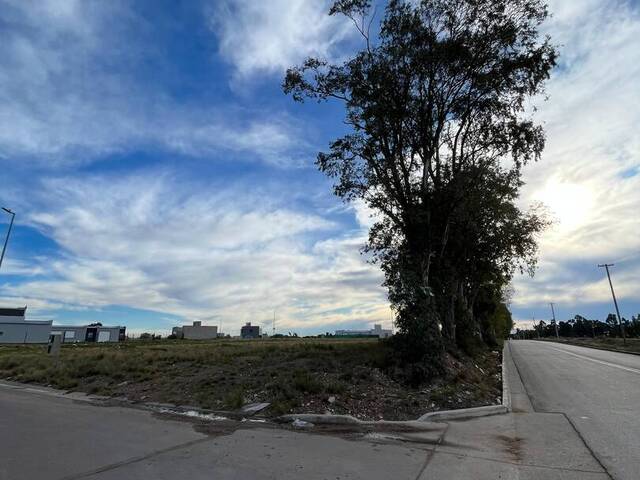 #503 - TERRENO para Venta en Bahia Blanca - AR-B - 1