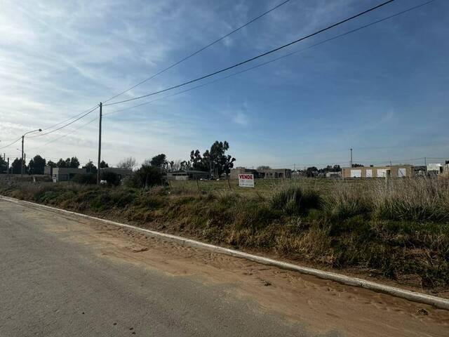 #520 - TERRENO para Venta en Bahia Blanca - AR-B - 2